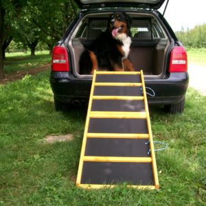 Easy-Hopper Hunderampe Extra Breit Komfort imprägniert mit Feinriefengummimatte