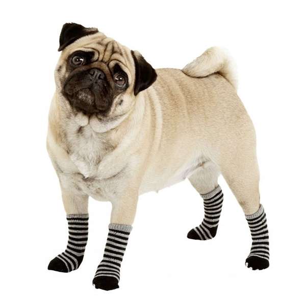 Karlie Doggy Socks Hundesocken 4er Set - Schwarz/Grau - M – Bild 6